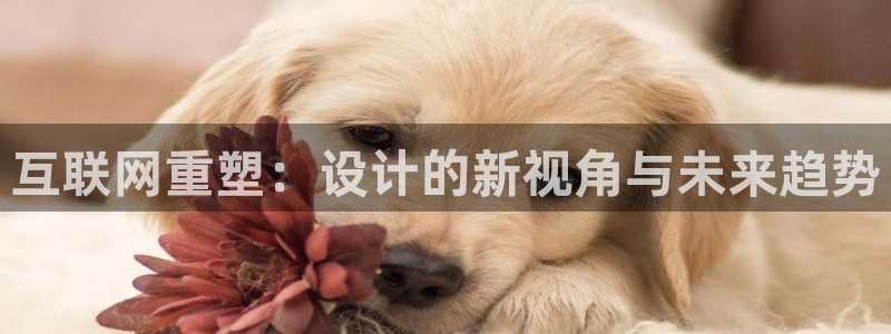 九尾园游会