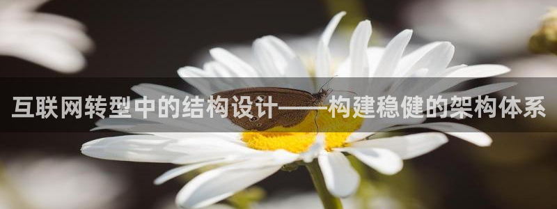 九游会官网网站下载