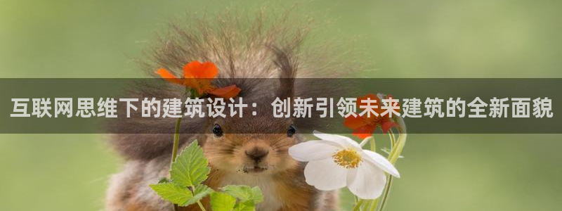 j9九游会旧版