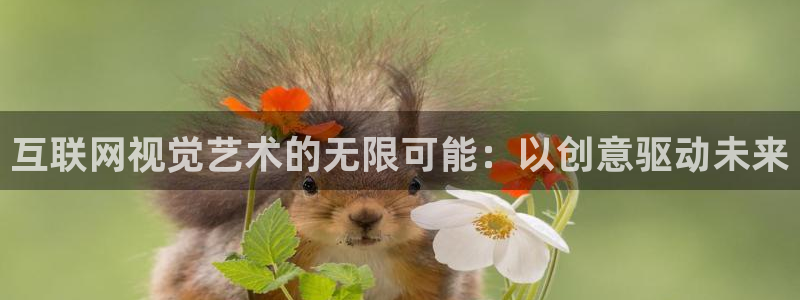 九游会j