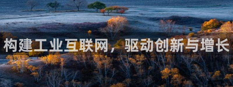 九游会国际直营