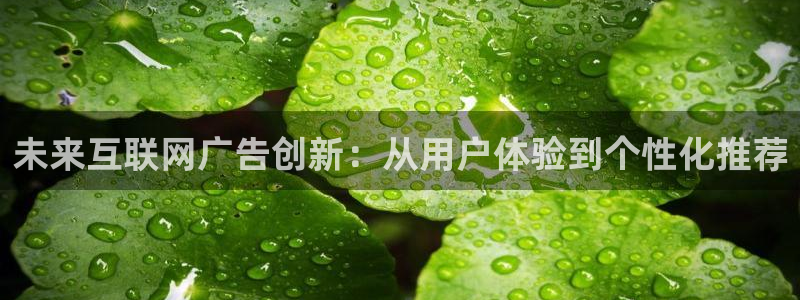 九游会体育app下载