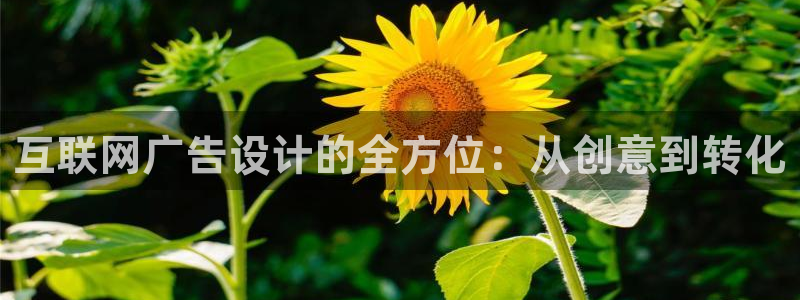 九游会国际服