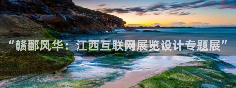 九游会官网真人