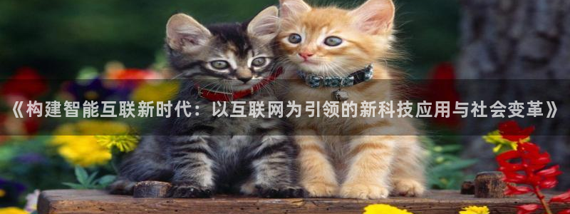 九游会真人游戏第一品