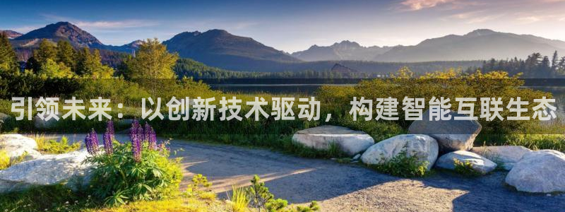 九游会j9娱乐官网