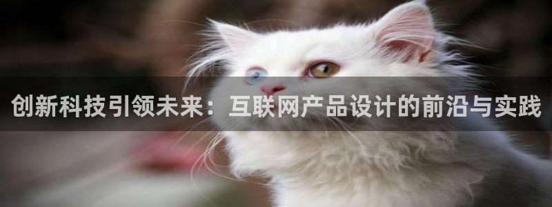 九游会j9手机旗舰