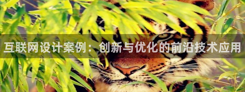九游会视讯厅