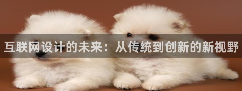 ag九游会真人：互联网设计的未