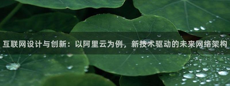 九游会黑款：互联网设计与创新：