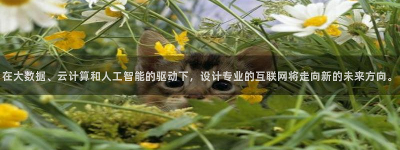 九游会JY3668