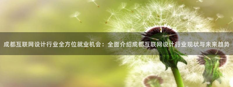 AG九游会官方首页：成都互联网