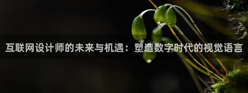 九游会进不去