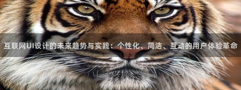 九游老哥会