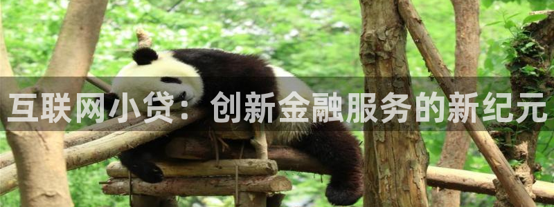 九游会怎么进入