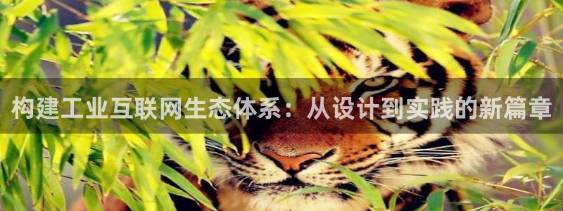 ag九游会官网Ag：构建工业互