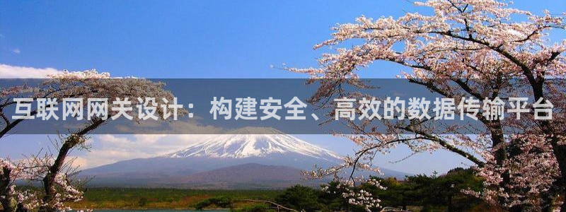 九游会ag真人官网