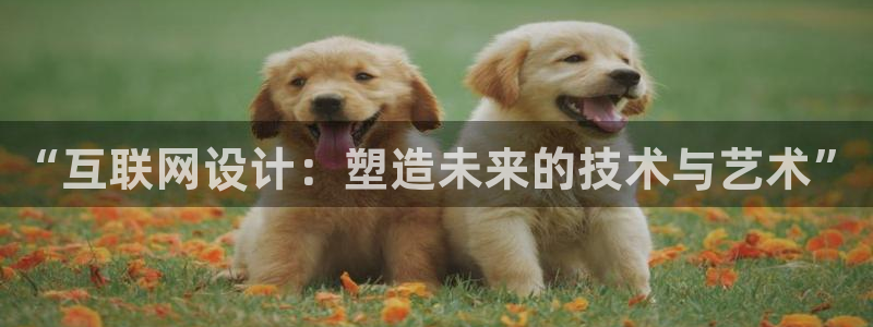 九游会官网登录入口：“互联网设