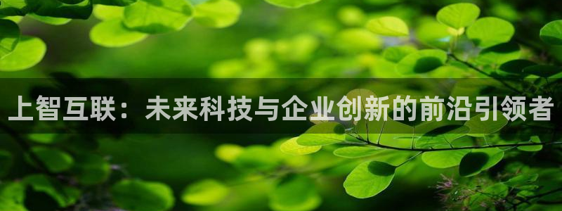 j9九游会ag：上智互联：未来