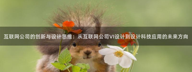 河曲九曲黄河灯游会作文：互联网