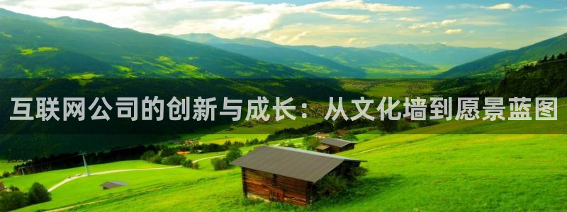 ag九游会国际：互联网公司的创