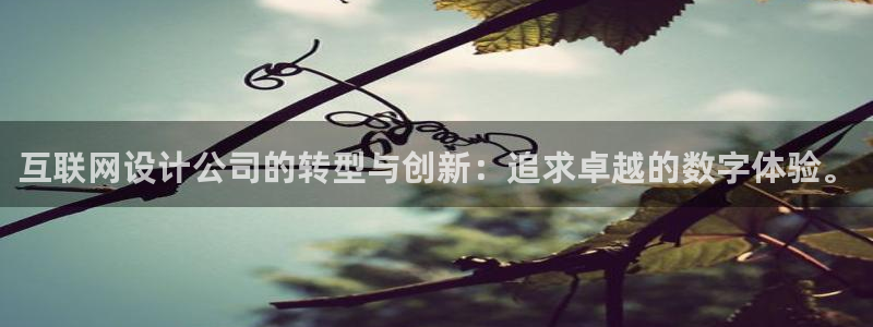 手机登录九游会：互联网设计公司