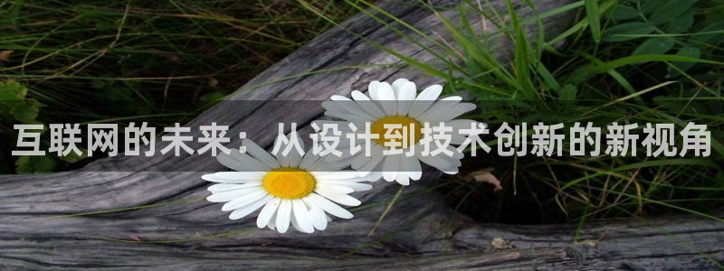 j9九游会最新网站