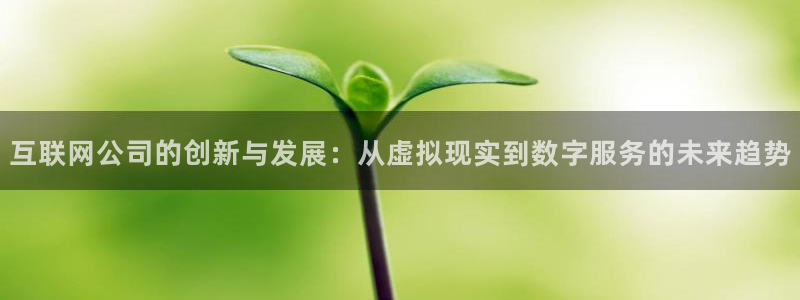 九游会和亚游