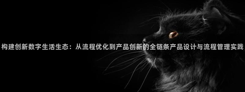 九游会亚洲公司：构建创新数字生