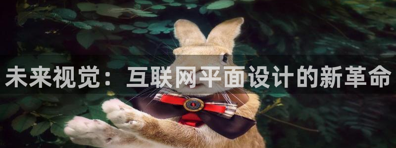 新版九游会