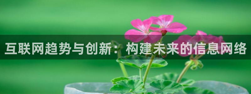 九游会不能注册